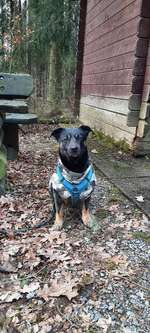 Hundeauslaufgebiet-Müller Milch Runde-Bild