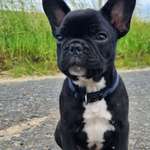 Ersteller:in Patrick Profilbild