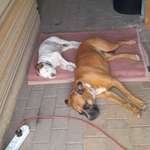 Ersteller:in Susanne Profilbild