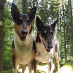 Ersteller:in Nanny Profilbild