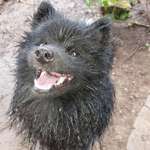 Ersteller:in Stefanie Profilbild