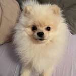 Ersteller:in Linda Profilbild