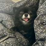 Ersteller:in Balu Profilbild