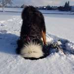 Ersteller:in Ingrid Profilbild