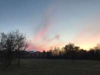 Hundeauslaufgebiet-Paunsdorfer Wäldchen-Bild