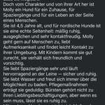 Schichtdienst & Ausbildung: Schafft das ein 4-jähriger Tierschutzhund?-Beitrag-Bild