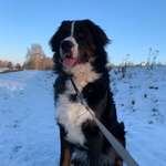 Ersteller:in Franziska Profilbild