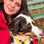 Ersteller:in Sina Profilbild