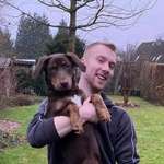 Ersteller:in Marcel Profilbild