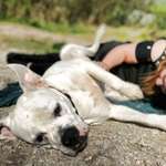 Ersteller:in Dalin Profilbild