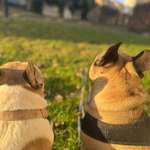 Ersteller:in Nancy Profilbild