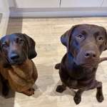 Ersteller:in Jana Profilbild