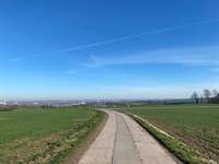 Hundeauslaufgebiet-Pfarrhübel Chemnitz-Bild