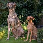 Ersteller:in Gabi Profilbild