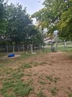 Hundeauslaufgebiet-Reininghaus-Bild