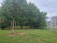 Hundeauslaufgebiet-Reininghaus-Bild