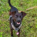 Ersteller:in Monika Profilbild