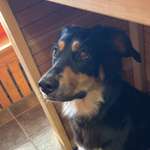 Ersteller:in Merle Profilbild