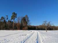 Hundeauslaufgebiet-Musberger Hau-Bild