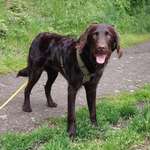 Ersteller:in Louisa Profilbild