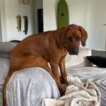 Ersteller:in Maren Profilbild