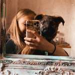 Ersteller:in Jodi Profilbild