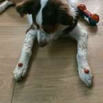 Ersteller:in Marion Profilbild