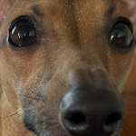 Ersteller:in Tina Profilbild