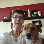 Ersteller:in Carola Profilbild