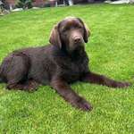 Ersteller:in Jürgen Profilbild