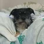 Ersteller:in Carla Profilbild