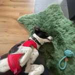 Ersteller:in Yvonne Profilbild