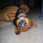 Ersteller:in Nico & Profilbild