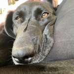 Ersteller:in Lena Profilbild