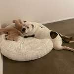 Ersteller:in Lucienne Profilbild