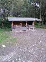 Hundeauslaufgebiet-Harzer Hundewald-Bild