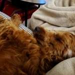 Ersteller:in Markus Profilbild