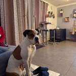 Suchmeldung-Champ-Bild