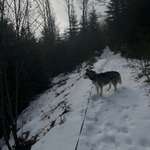 Ersteller:in Laura Profilbild