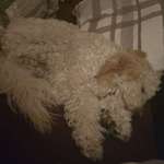 Ersteller:in Sabine Profilbild