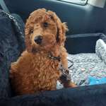 Ersteller:in Andrea Profilbild