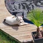 Ersteller:in Jessica Profilbild