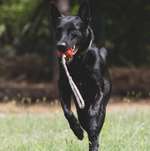 Ersteller:in Fabian Profilbild