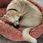 Ersteller:in Josie Profilbild