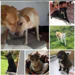 Ersteller:in Michaela Profilbild