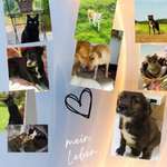 Ersteller:in Michaela Profilbild