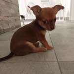 Ersteller:in Angela Profilbild