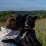 Ersteller:in V. Profilbild