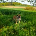 Ersteller:in Viktoria Profilbild