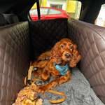 Autofahren und Reiseübelkeit-Beitrag-Bild